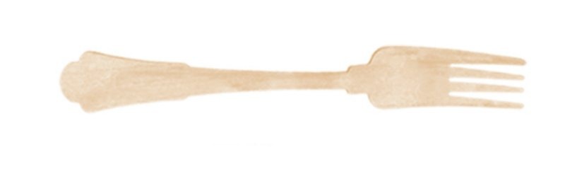 200Mm Premium Fork